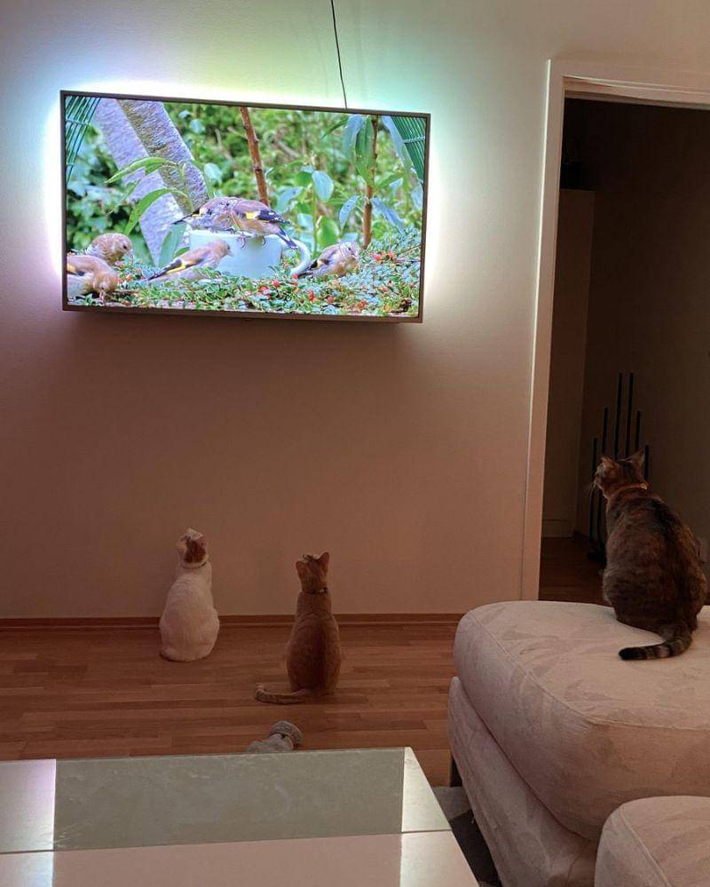 reddit.com/user/kryptonitenickyxx